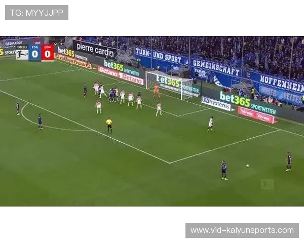 霍芬海姆1-0勒沃库森